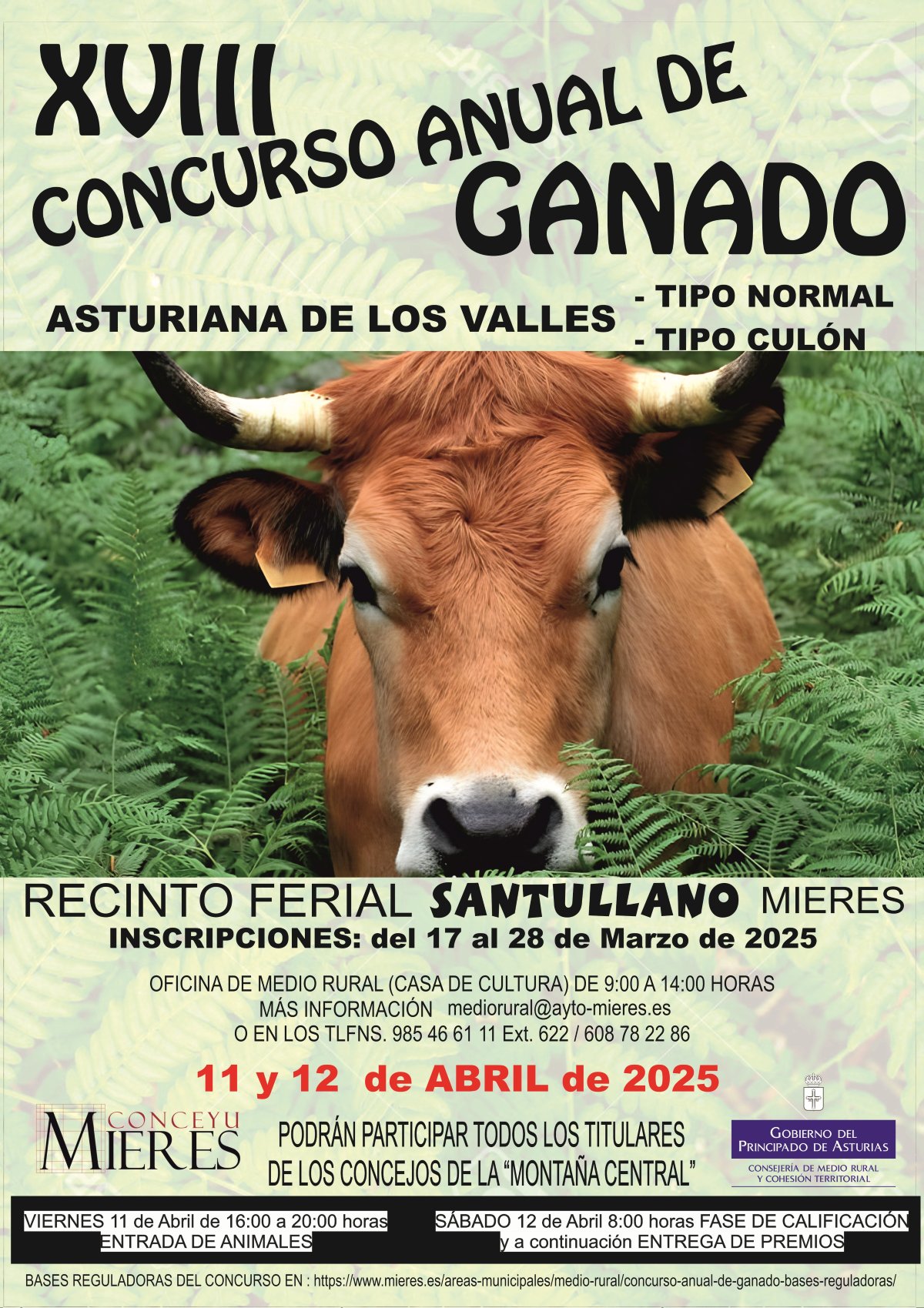 CARTEL CONCURSO Anual Ganado Mieres 2025